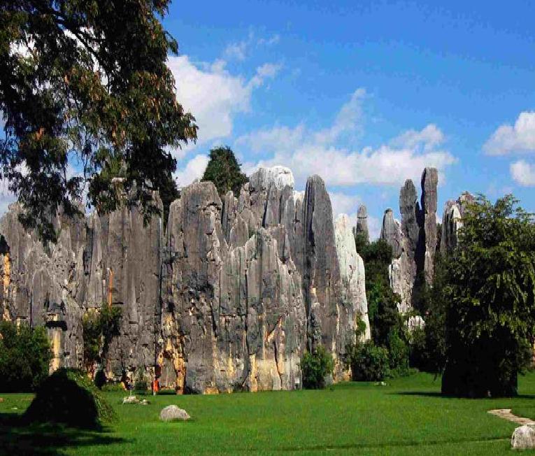 11 Days Yunnan Photograph Tour with Luoping Rapeseed Flowers Festival and Honghe Hani Rice Terraces Field (Feb-March Available)