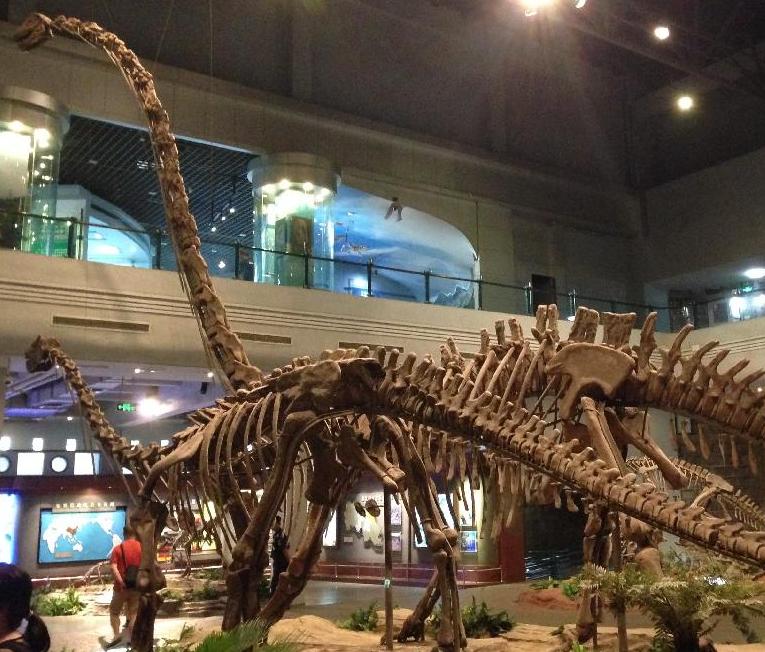 Zigong Dinosaur Museum and Shunan Bamboo Forest 3 Days Tour