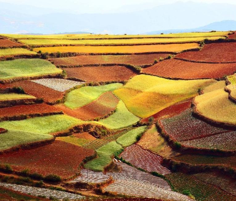 2 Days Kunming Dongchuan Red Land and Jiaozi Snow Mountain Tour