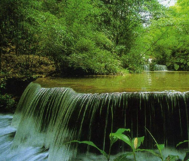 Shunan bamboo forest 2 days tour