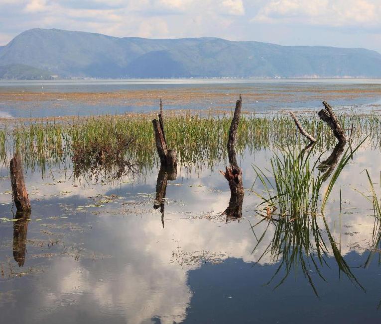 1 Day Jade Dragon Snow Mountain Group Tour