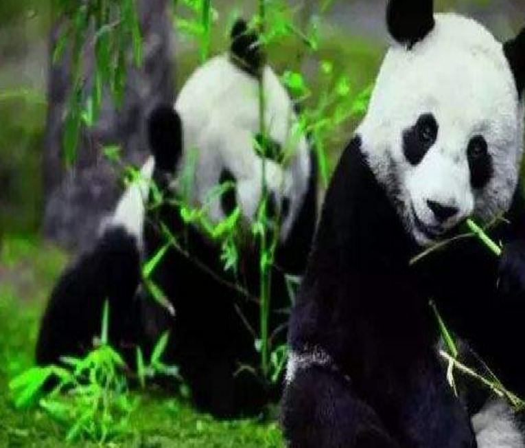 2-Day Rural Chengdu Bike & Hike Tour 