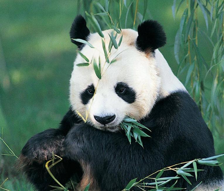 Sichuan Kham 7 days tour