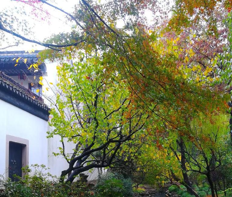 1 Day Suzhou Lingering Garden and Zhouzhuang  Tour from Shanghai