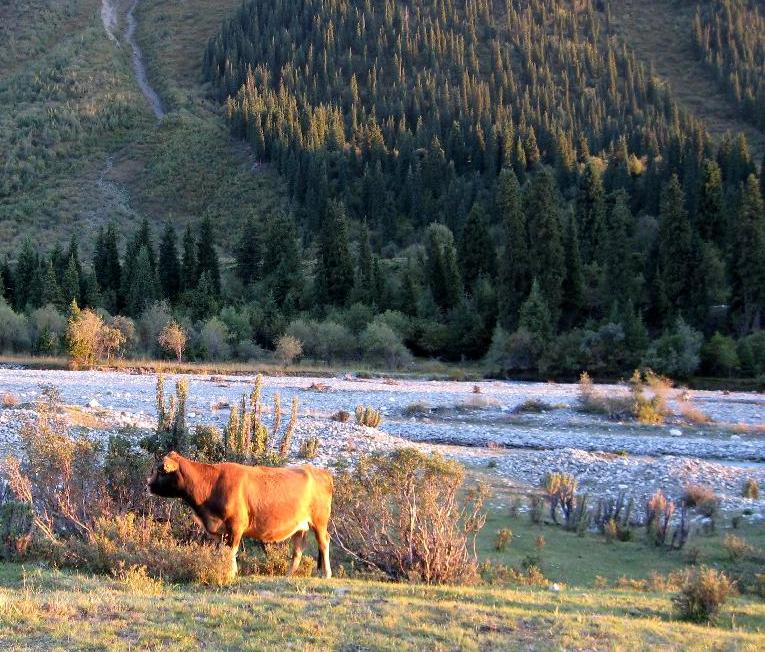 2 Days Kashgar and Karakul Lake Tour(20th.Jun-10th.Oct)