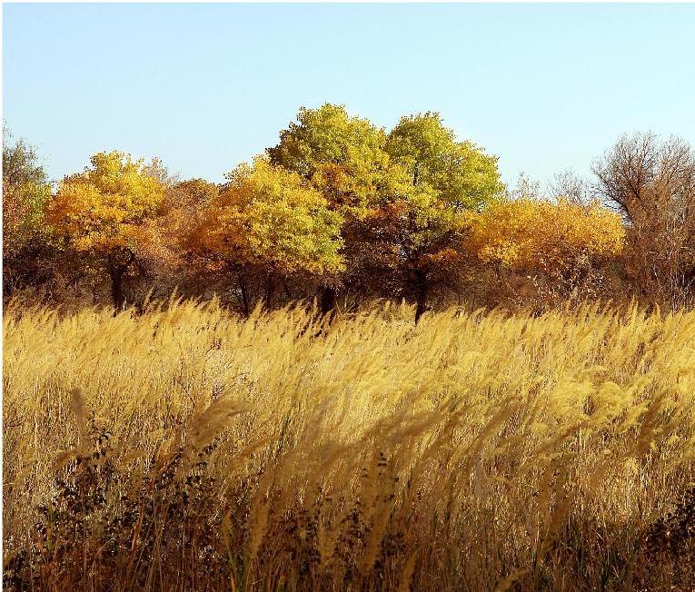 4 Days Urumqi Turpan  Kashgar Tour(20th.Jun-10th.Oct)