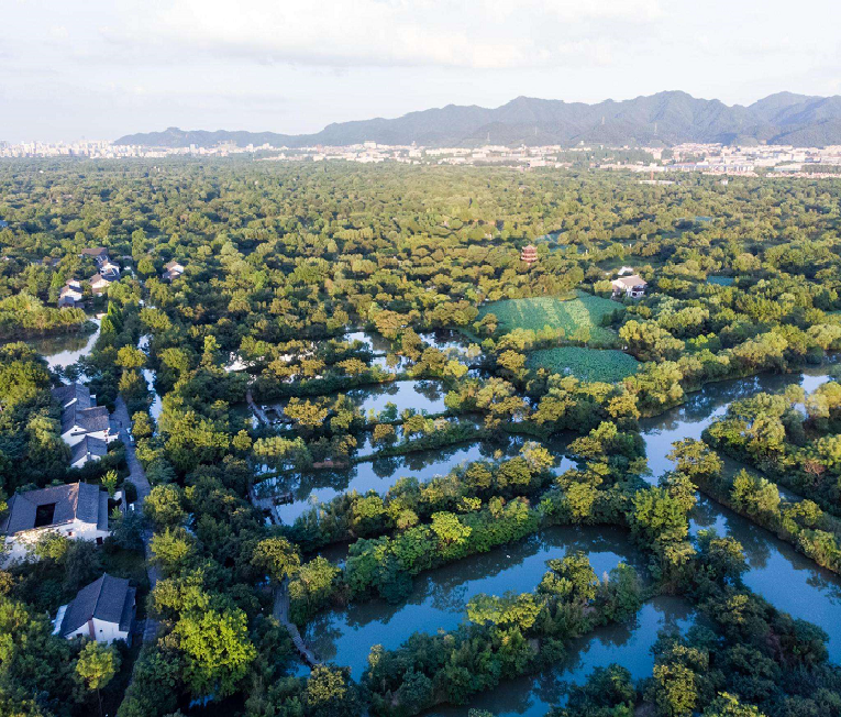 Hangzhou Xixi Wetland Half Day Private Tour