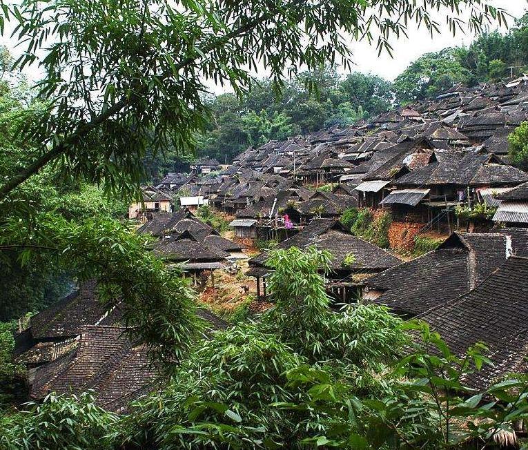 3 Days XishuangBanna Tea Culture Tour to Yiwu and Nannuo Tea Mountains